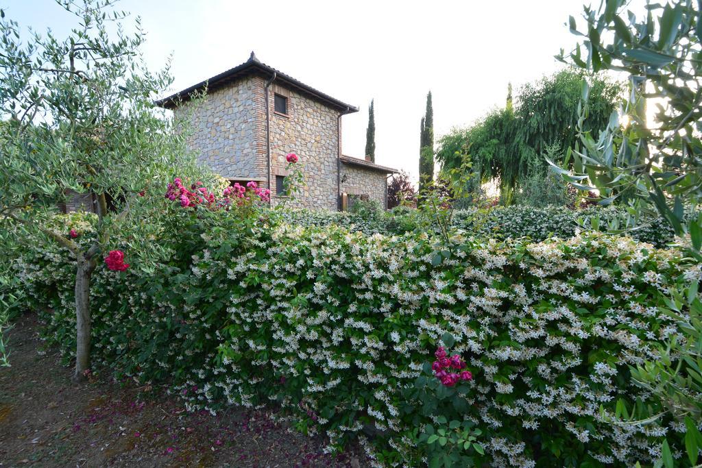 Agriturismo Dolce Verde Farm stay Castiglione del Lago