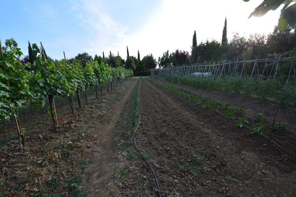 Farm stay Agriturismo Dolce Verde