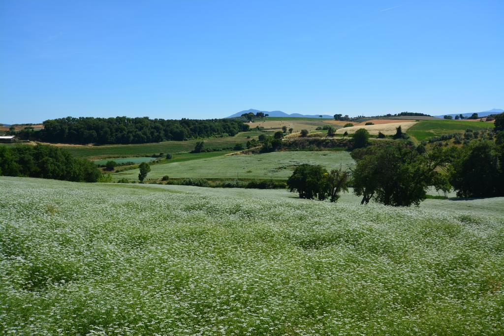 Agriturismo Dolce Verde Castiglione del Lago