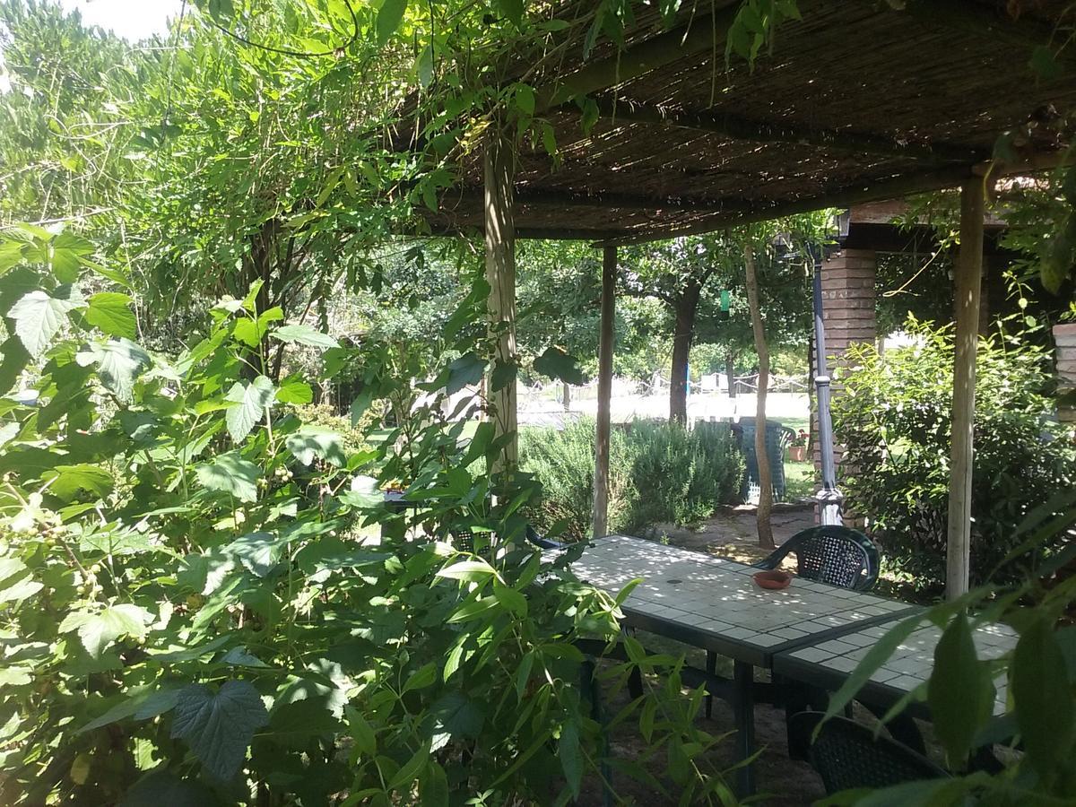 Farm stay Agriturismo Dolce Verde *