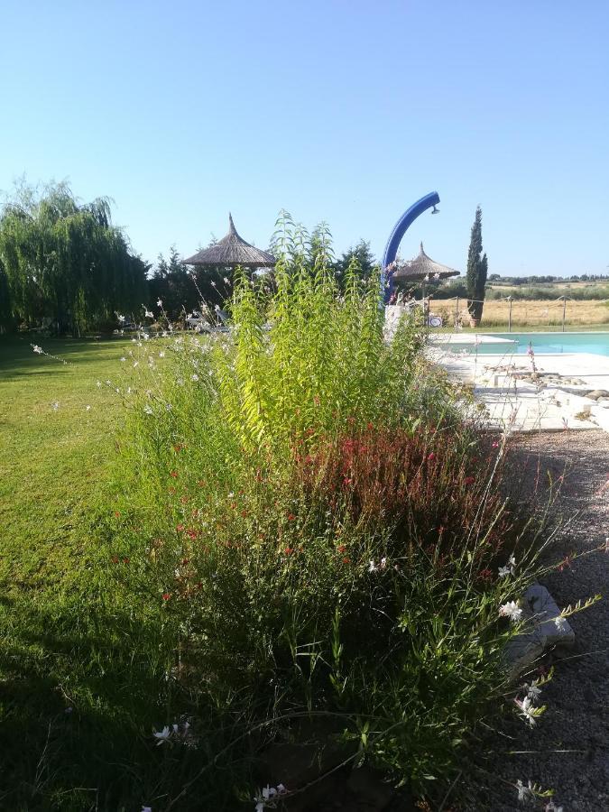 Agriturismo Dolce Verde Farm stay *